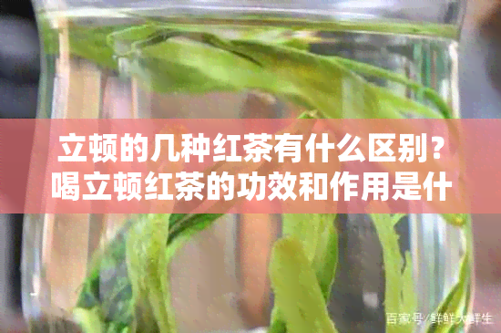 立顿的几种红茶有什么区别？喝立顿红茶的功效和作用是什么？