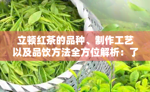 立顿红茶的品种、制作工艺以及品饮方法全方位解析：了解立顿红茶的全貌