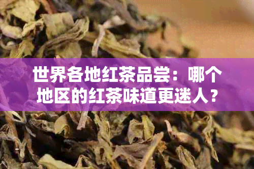 世界各地红茶品尝：哪个地区的红茶味道更迷人？