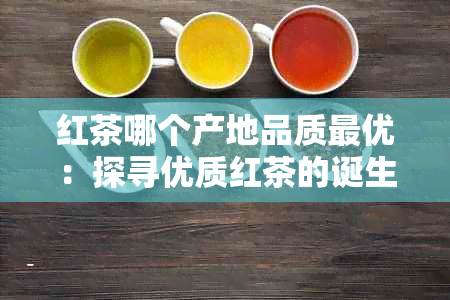 红茶哪个产地品质更优：探寻优质红茶的诞生地