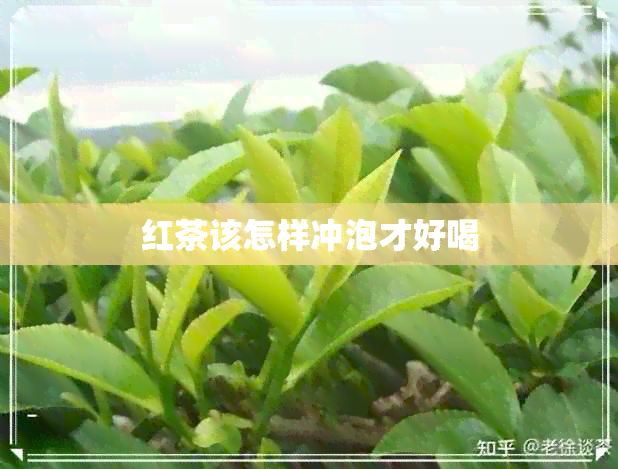 红茶该怎样冲泡才好喝