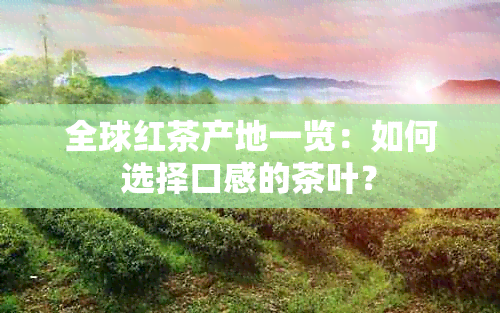 全球红茶产地一览：如何选择口感的茶叶？