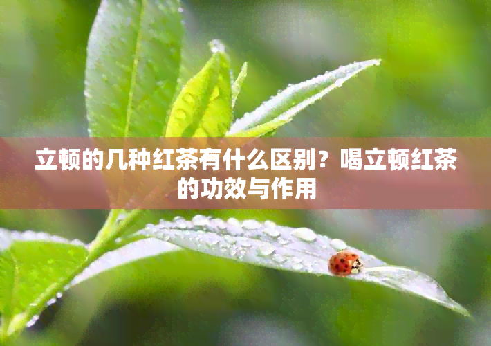 立顿的几种红茶有什么区别？喝立顿红茶的功效与作用