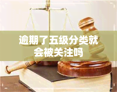 逾期了五级分类就会被关注吗