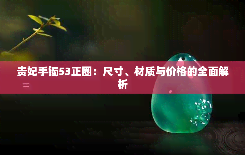 贵妃手镯53正圈：尺寸、材质与价格的全面解析