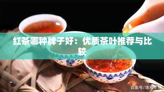 红茶哪种牌子好：优质茶叶推荐与比较