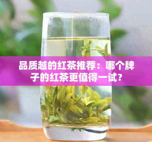 品质越的红茶推荐：哪个牌子的红茶更值得一试？