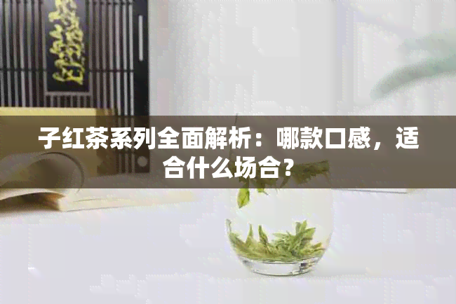 子红茶系列全面解析：哪款口感，适合什么场合？