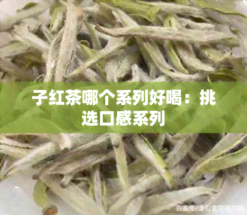 子红茶哪个系列好喝：挑选口感系列