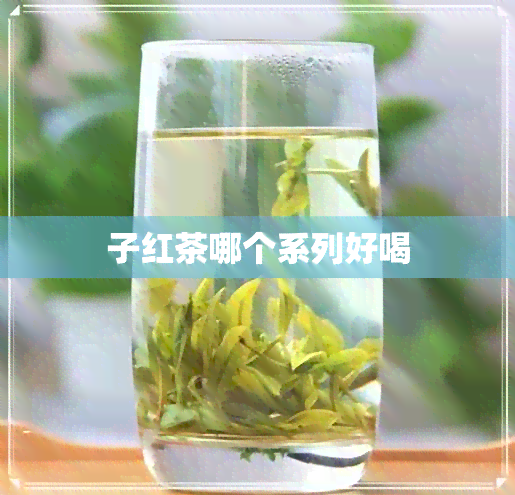 子红茶哪个系列好喝