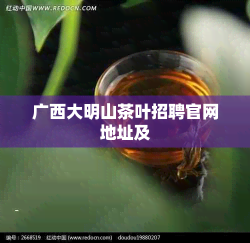 广西大明山茶叶招聘官网地址及