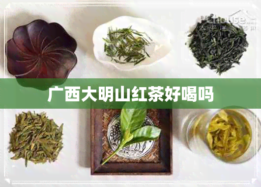 广西大明山红茶好喝吗