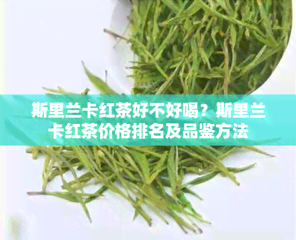 斯里兰卡红茶好不好喝？斯里兰卡红茶价格排名及品鉴方法