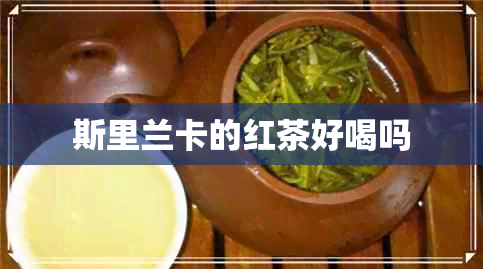 斯里兰卡的红茶好喝吗