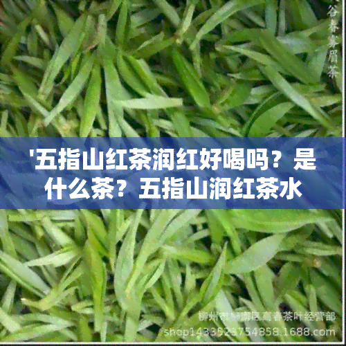 '五指山红茶润红好喝吗？是什么茶？五指山润红茶水满润红怎么样？'