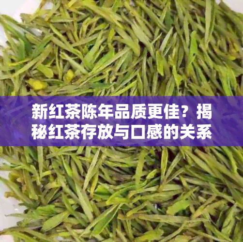 新红茶陈年品质更佳？揭秘红茶存放与口感的关系