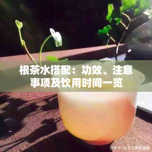 根茶水搭配：功效、注意事项及饮用时间一览