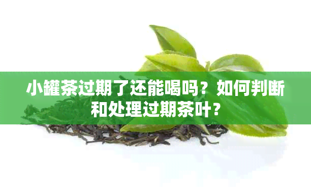 小罐茶过期了还能喝吗？如何判断和处理过期茶叶？