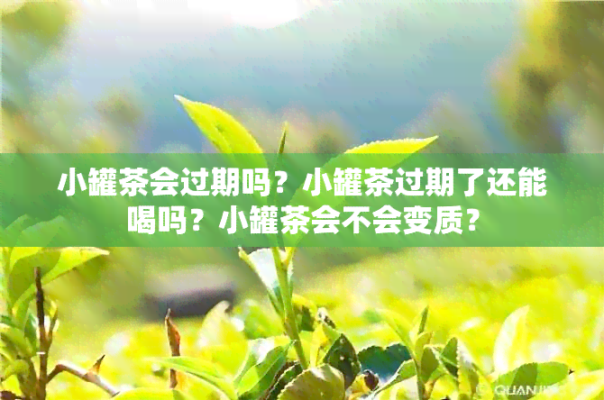 小罐茶会过期吗？小罐茶过期了还能喝吗？小罐茶会不会变质？