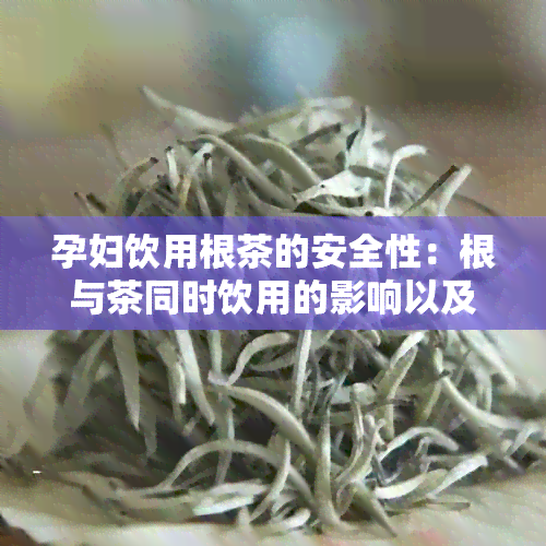 孕妇饮用根茶的安全性：根与茶同时饮用的影响以及注意事项