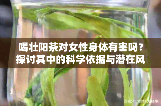 喝壮阳茶对女性身体有害吗？探讨其中的科学依据与潜在风险