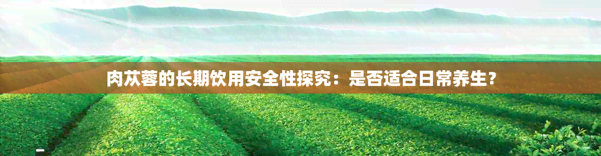 肉苁蓉的长期饮用安全性探究：是否适合日常养生？