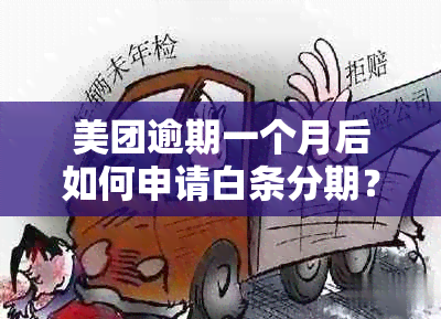 美团逾期一个月后如何申请白条分期？等待时间及具体操作步骤解答