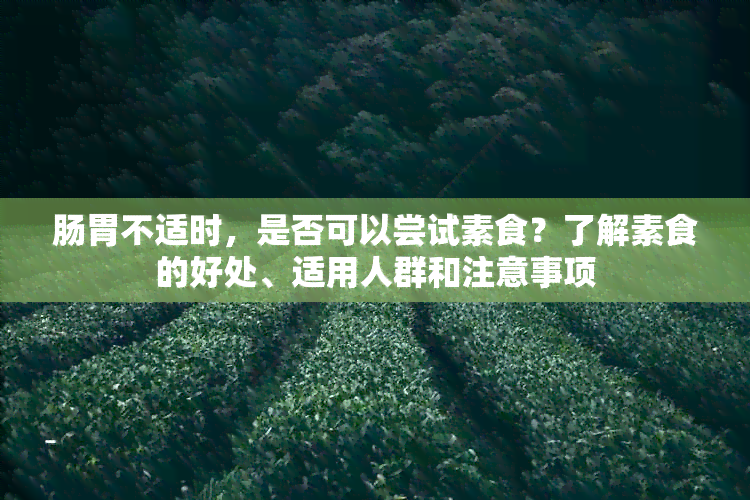 肠胃不适时，是否可以尝试素食？了解素食的好处、适用人群和注意事项