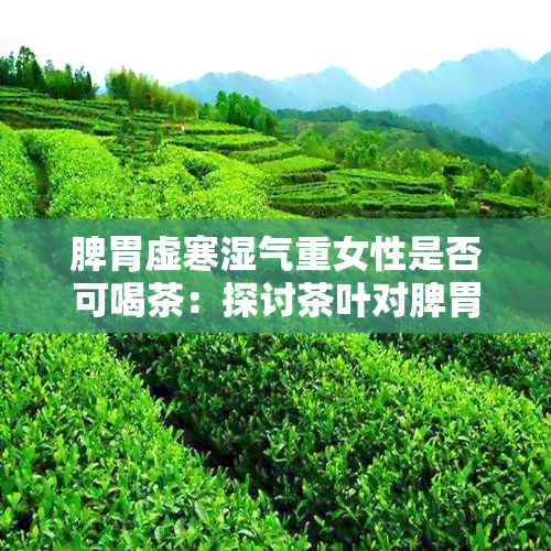 脾胃虚寒湿气重女性是否可喝茶：探讨茶叶对脾胃虚寒湿气重的影响