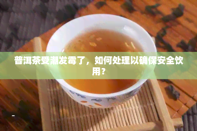 普洱茶受潮发霉了，如何处理以确保安全饮用？