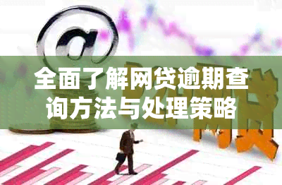 全面了解网贷逾期查询方法与处理策略，解决您的后顾之忧