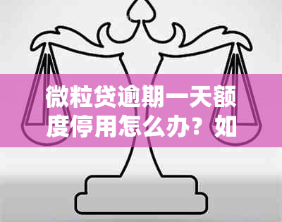 微粒贷逾期一天额度停用怎么办？如何恢复和解决这个问题？