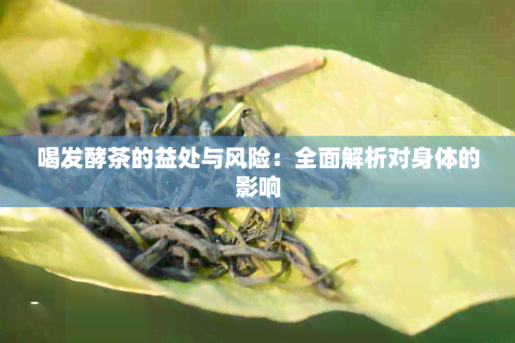 喝发酵茶的益处与风险：全面解析对身体的影响