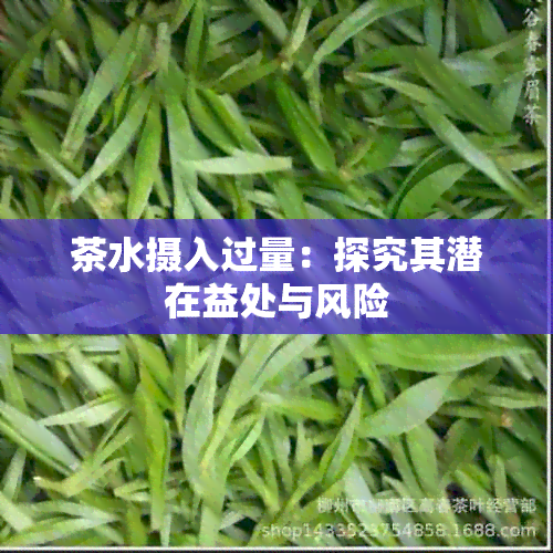 茶水摄入过量：探究其潜在益处与风险