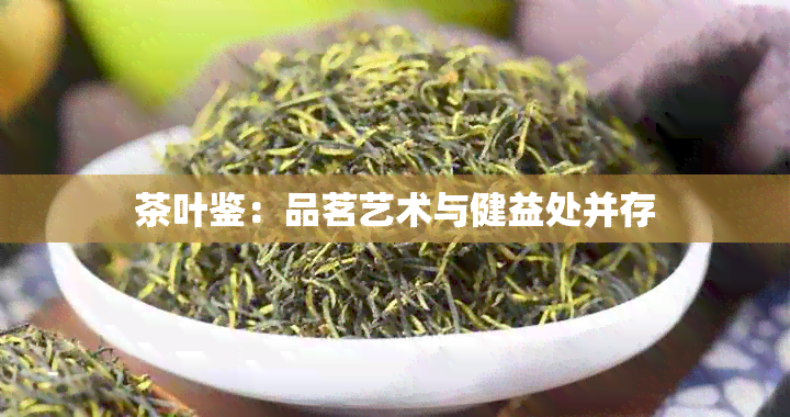 茶叶鉴：品茗艺术与健益处并存