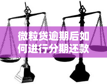 微粒贷逾期后如何进行分期还款？了解全面解决方案和注意事项！