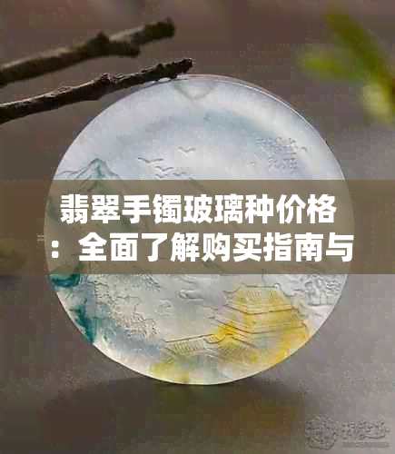 翡翠手镯玻璃种价格：全面了解购买指南与市场行情