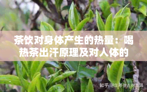 茶饮对身体产生的热量：喝热茶出汗原理及对人体的影响