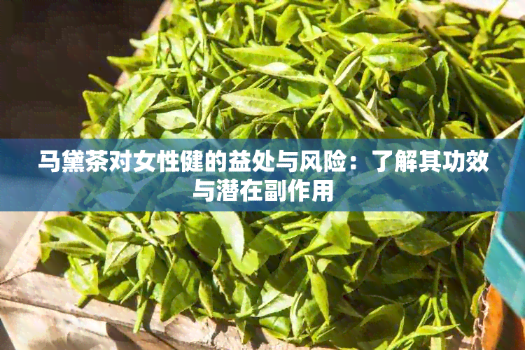 马黛茶对女性健的益处与风险：了解其功效与潜在副作用