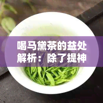 喝马黛茶的益处解析：除了提神醒脑，还有哪些健效果？