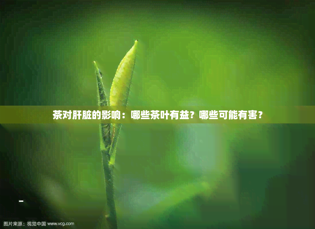 茶对肝脏的影响：哪些茶叶有益？哪些可能有害？