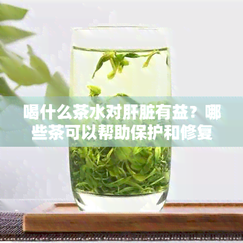 喝什么茶水对肝脏有益？哪些茶可以帮助保护和修复肝脏功能？