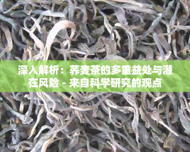 深入解析：荞麦茶的多重益处与潜在风险 - 来自科学研究的观点