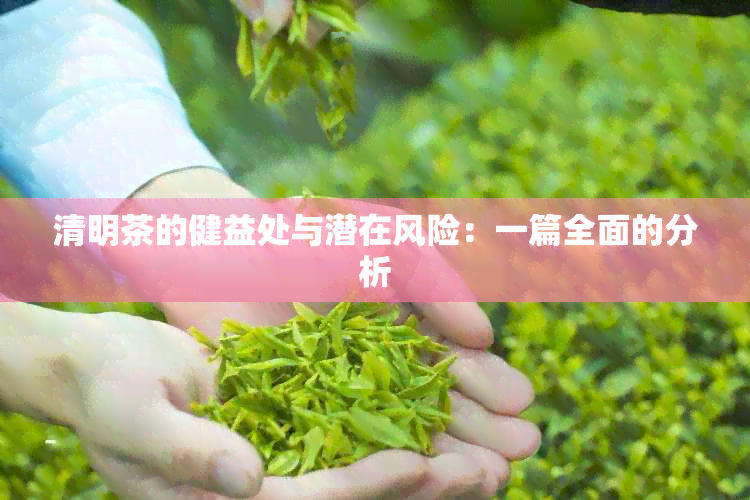 清明茶的健益处与潜在风险：一篇全面的分析