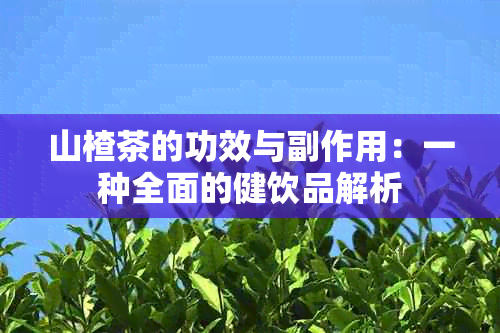 山楂茶的功效与副作用：一种全面的健饮品解析