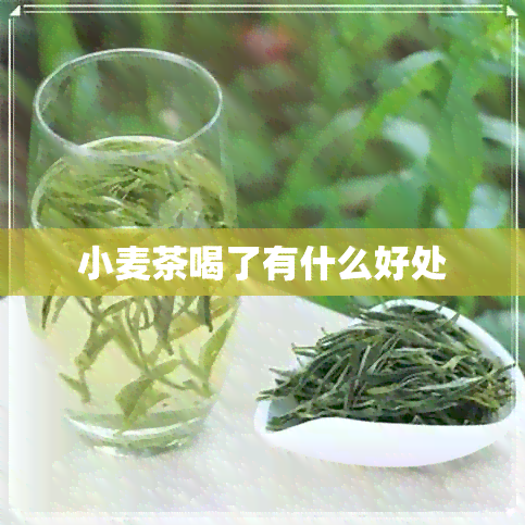 小麦茶喝了有什么好处