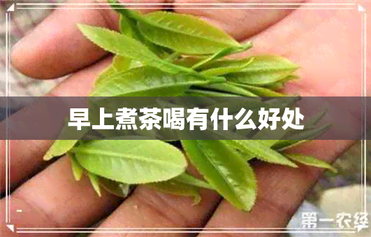 早上煮茶喝有什么好处