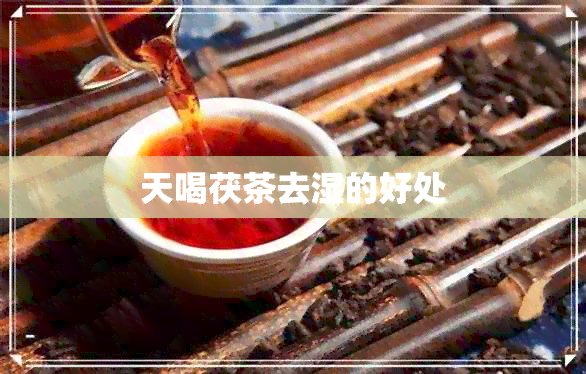 天喝茯茶去湿的好处