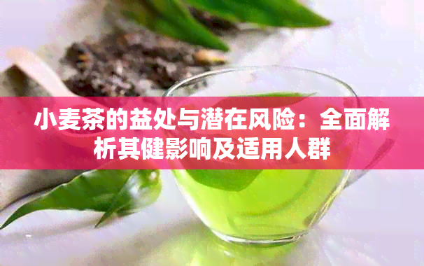 小麦茶的益处与潜在风险：全面解析其健影响及适用人群