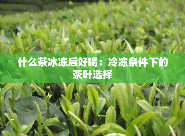 什么茶冰冻后好喝：冷冻条件下的茶叶选择